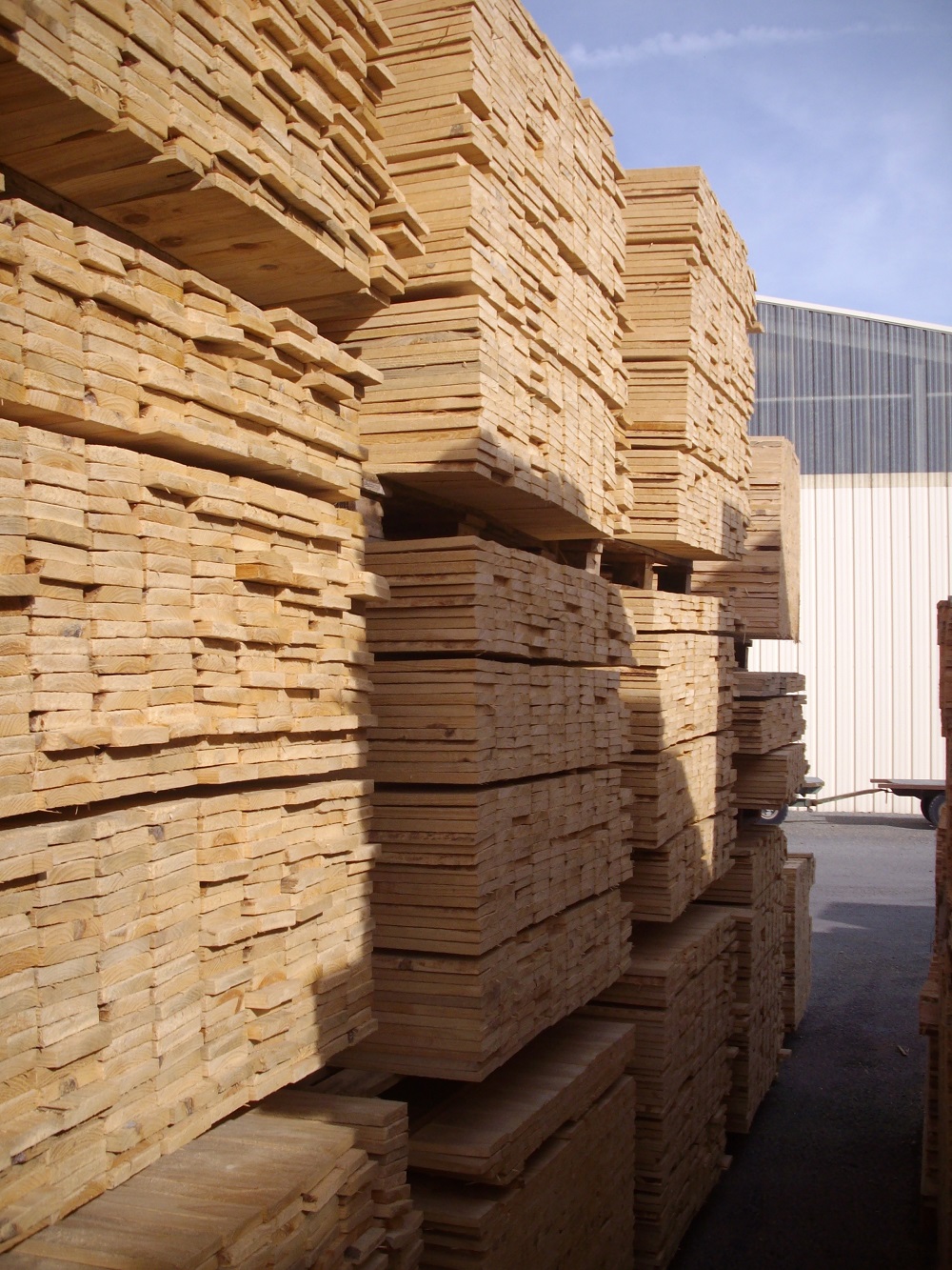 production de bois de sciage en scierie en Gironde