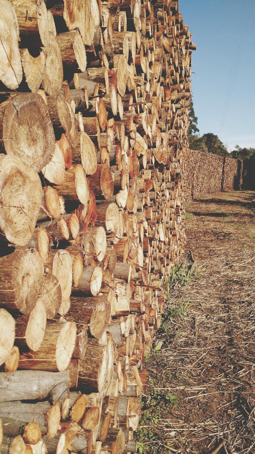 Méthode de séchage de bois : scierie Bernard Sabouraud à Gensac